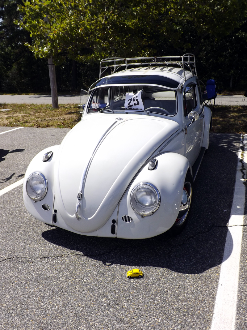 Of course the Torchbug came along!